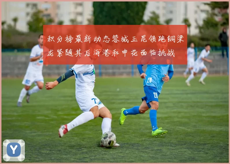积分榜最新动态蓉城玉昆领跑铜梁龙紧随其后海港和申花面临挑战